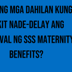 ano-ang-mga-dahilan-kung-bakit-nade-delay-ang-approval-ng-sss-maternity-benefits
