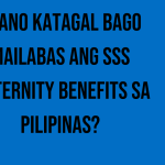 gaano-katagal-bago-mailabas-ang-sss-maternity-benefits-sa-pilipinas
